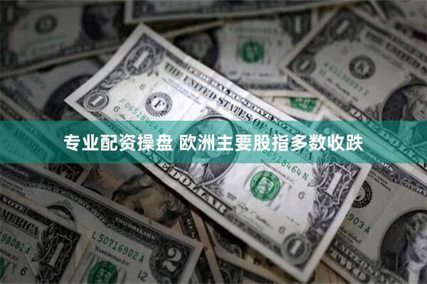 专业配资操盘 欧洲主要股指多数收跌