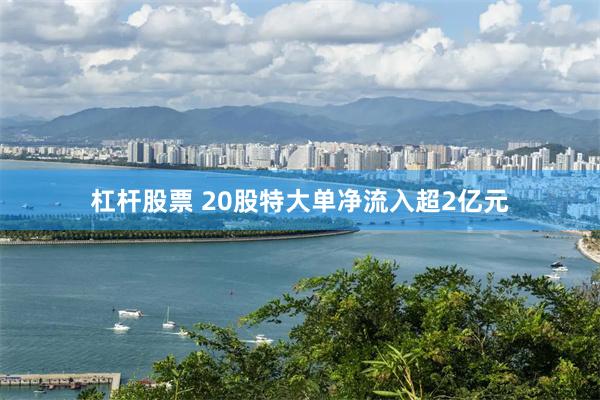 杠杆股票 20股特大单净流入超2亿元