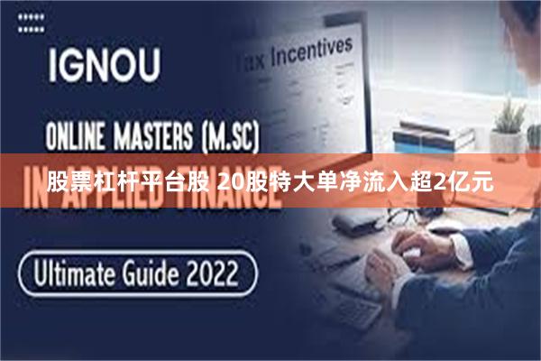 股票杠杆平台股 20股特大单净流入超2亿元