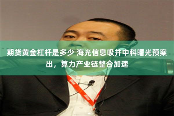 期货黄金杠杆是多少 海光信息吸并中科曙光预案出，算力产业链整合加速