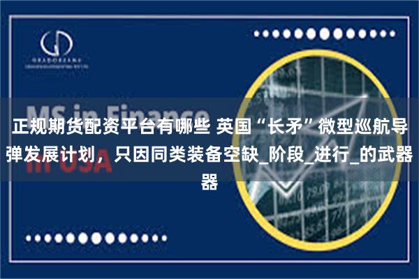 正规期货配资平台有哪些 英国“长矛”微型巡航导弹发展计划，只因同类装备空缺_阶段_进行_的武器
