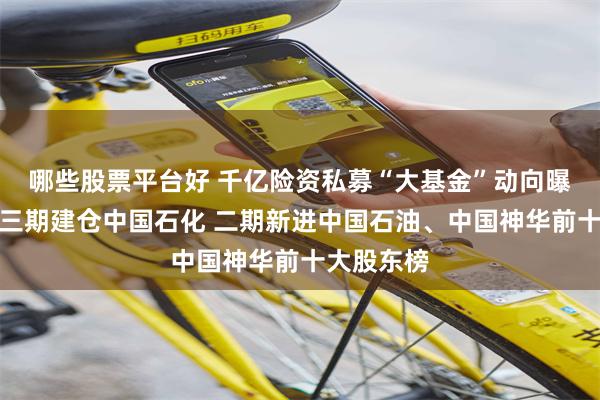 哪些股票平台好 千亿险资私募“大基金”动向曝光：鸿鹄三期建仓中国石化 二期新进中国石油、中国神华前十大股东榜