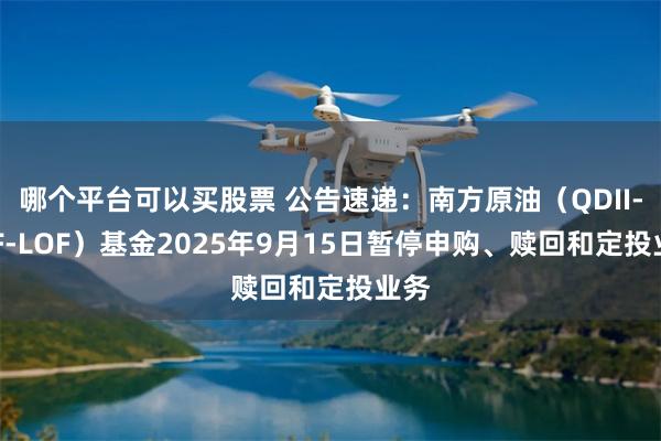 哪个平台可以买股票 公告速递：南方原油（QDII-FOF-LOF）基金2025年9月15日暂停申购、赎回和定投业务