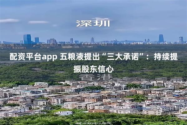 配资平台app 五粮液提出“三大承诺”：持续提振股东信心