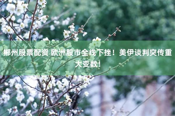 郴州股票配资 欧洲股市全线下挫！美伊谈判突传重大变数！