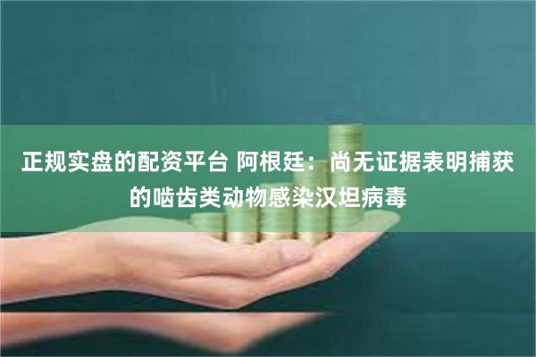 正规实盘的配资平台 阿根廷：尚无证据表明捕获的啮齿类动物感染汉坦病毒