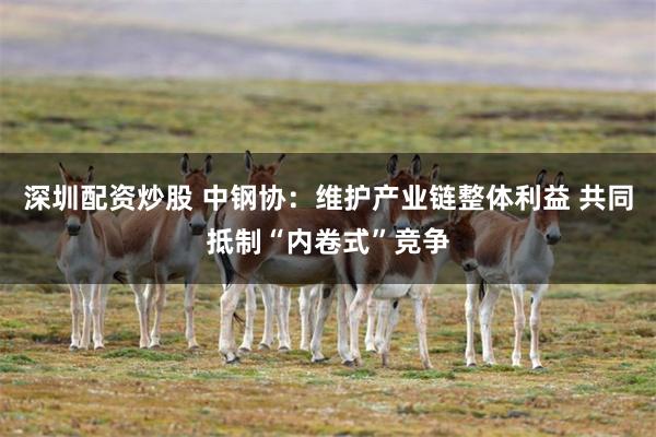 深圳配资炒股 中钢协：维护产业链整体利益 共同抵制“内卷式”竞争