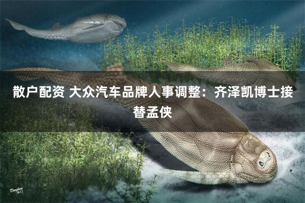 散户配资 大众汽车品牌人事调整：齐泽凯博士接替孟侠
