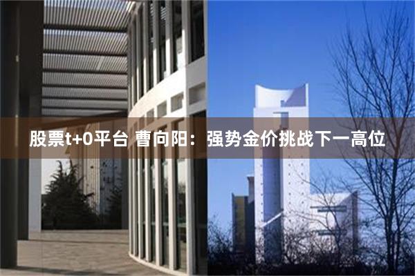 股票t+0平台 曹向阳：强势金价挑战下一高位