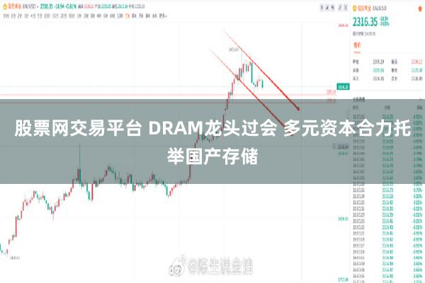 股票网交易平台 DRAM龙头过会 多元资本合力托举国产存储