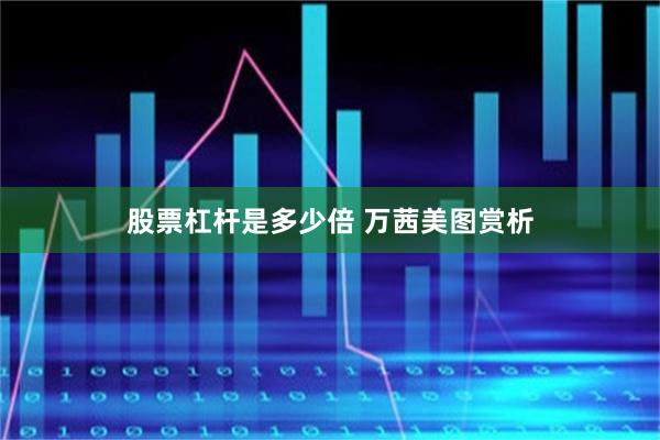 股票杠杆是多少倍 万茜美图赏析