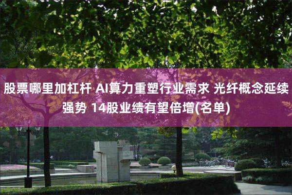 股票哪里加杠杆 AI算力重塑行业需求 光纤概念延续强势 14股业绩有望倍增(名单)