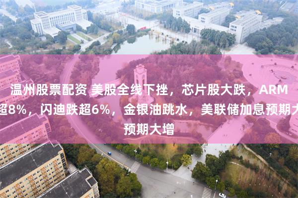 温州股票配资 美股全线下挫，芯片股大跌，ARM跌超8%，闪迪跌超6%，金银油跳水，美联储加息预期大增