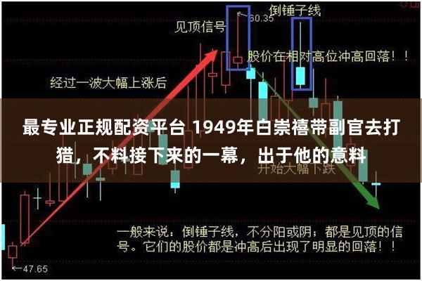 最专业正规配资平台 1949年白崇禧带副官去打猎，不料接下来的一幕，出于他的意料