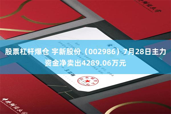 股票杠杆爆仓 宇新股份（002986）7月28日主力资金净卖出4289.06万元