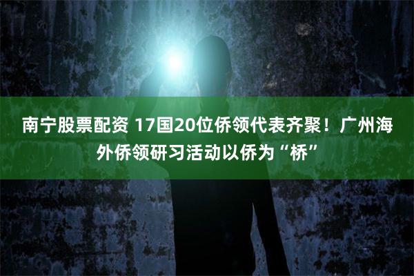 南宁股票配资 17国20位侨领代表齐聚！广州海外侨领研习活动以侨为“桥”