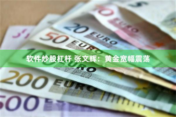 软件炒股杠杆 张文辉：黄金宽幅震荡