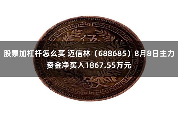 股票加杠杆怎么买 迈信林（688685）8月8日主力资金净买入1867.55万元
