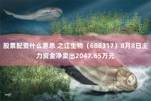 股票配资什么意思 之江生物（688317）8月8日主力资金净卖出2047.65万元