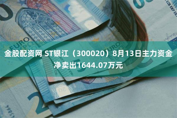 金股配资网 ST银江（300020）8月13日主力资金净卖出1644.07万元