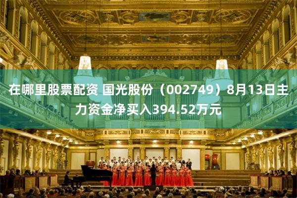在哪里股票配资 国光股份（002749）8月13日主力资金净买入394.52万元