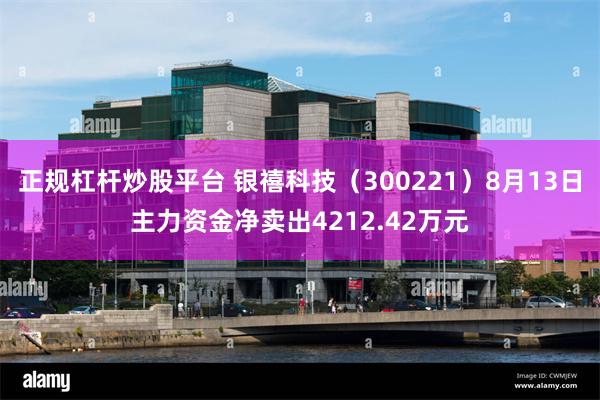 正规杠杆炒股平台 银禧科技（300221）8月13日主力资金净卖出4212.42万元