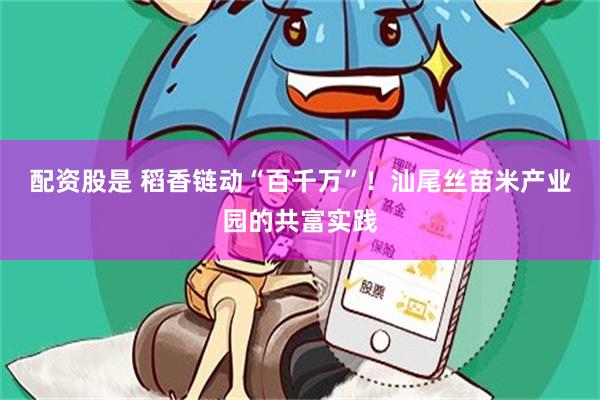 配资股是 稻香链动“百千万”！汕尾丝苗米产业园的共富实践