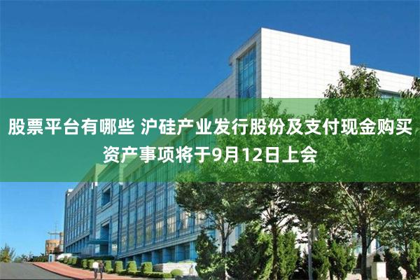 股票平台有哪些 沪硅产业发行股份及支付现金购买资产事项将于9月12日上会