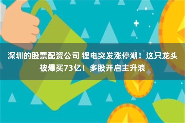 深圳的股票配资公司 锂电突发涨停潮！这只龙头被爆买73亿！多股开启主升浪