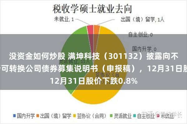 没资金如何炒股 满坤科技（301132）披露向不特定对象发行可转换公司债券募集说明书（申报稿），12月31日股价下跌0.8%